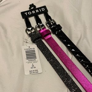 Torrid size 3 belt bundle